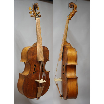 Arion viola bastarda after Salò