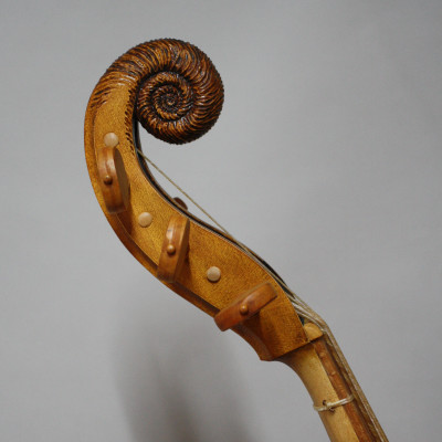 Arion profiel Ammoniet